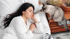 猫が夜中にあなたを起こしますか？ストレスなく夜中の鳴き声を止める4つのステップ