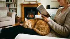 猫が自分の仲間と認めるのはこの4タイプの人間だけ。それ以外は単なるサービススタッフだ